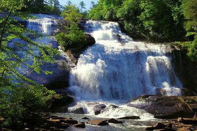 Dupont State Forest